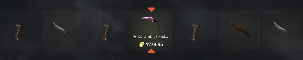 Rust Cases
