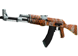 AK-47 | Safety Net