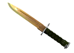 ★ Bayonet | Lore