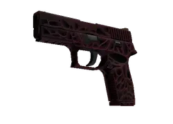 P250 | Contaminant