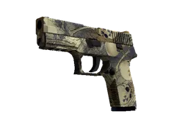 P250 | Contamination