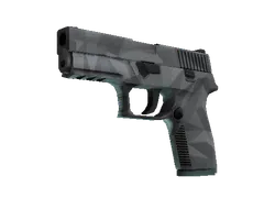 P250 | Facets