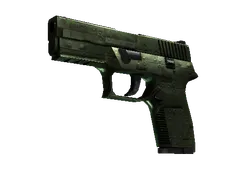 P250 | Iron Clad