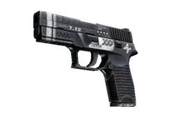 P250 | Re.built