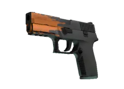 P250 | Splash