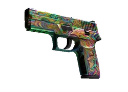 P250 | Visions