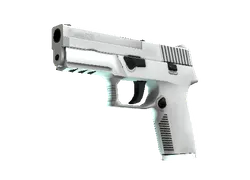 P250 | Whiteout