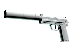 USP-S | Whiteout
