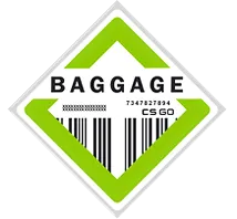 The Baggage Collection