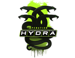 Operation Hydra
